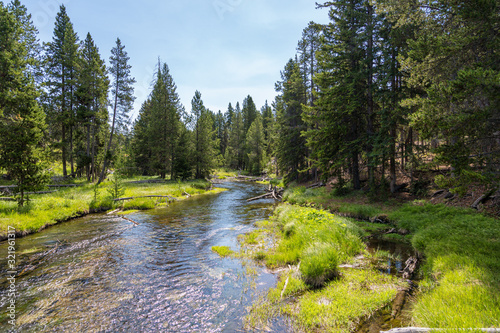 Yellowstone River landscape with beautiful forest reflection in Yellowstone National Park