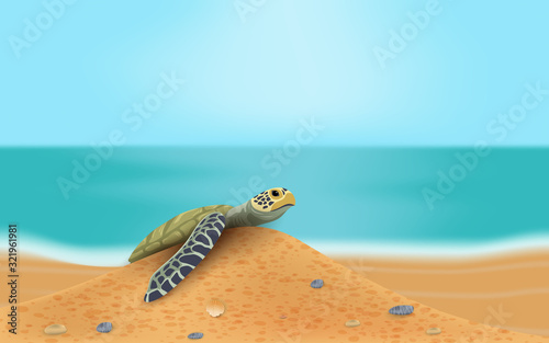 sea turtle on the beach	