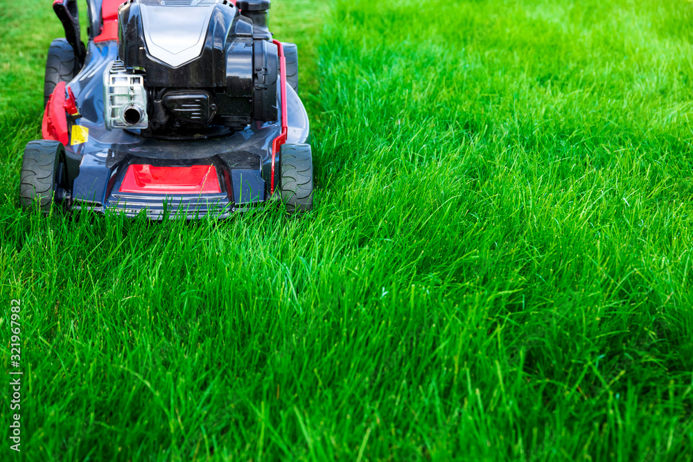 Lawn mower cutting green grass in backyard, mowing lawn Lawn mower cutting green grass in backyard, mowing lawn