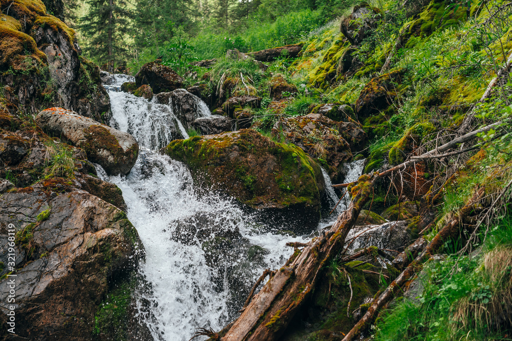 Obraz premium Scenic landscape with beautiful waterfall in forest among rich vegetation. Frozen motion of splashes. Clear spring water. Atmospheric woody scenery with mountain creek. Wild plants and mosses on rocks