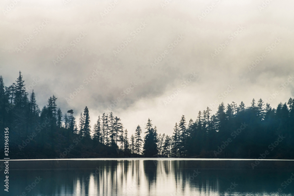 Fototapeta premium Silhouettes of pointy fir tops on hillside along mountain lake in dense fog. Reflection of coniferous trees in shiny calm water. Alpine tranquil landscape at early morning. Ghostly atmospheric scenery