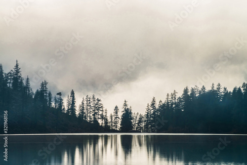 Silhouettes of pointy fir tops on hillside along mountain lake in dense fog. Reflection of coniferous trees in shiny calm water. Alpine tranquil landscape at early morning. Ghostly atmospheric scenery © Daniil