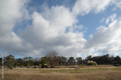 冬の公園の上空に大きな雲が浮かんでいる風景