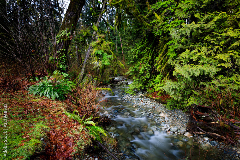 Creek flowing into lake on a Winter's day Creek flowing into lake on a Winter's day