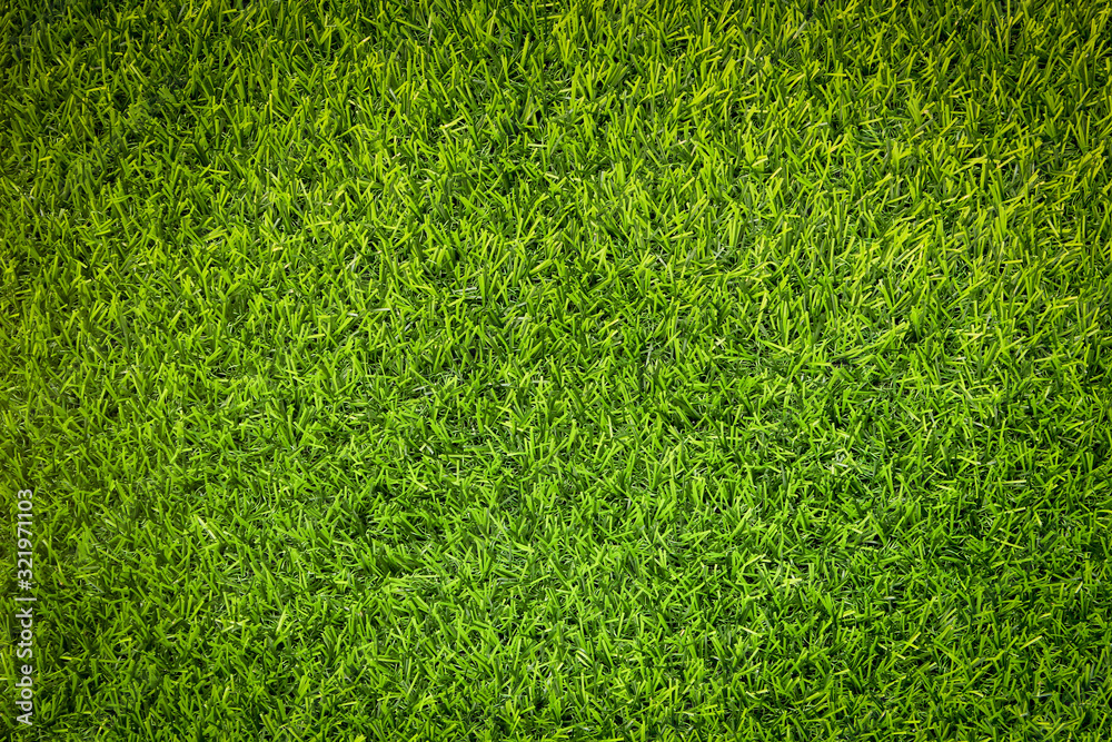 Obraz premium Green grass soccer field background.