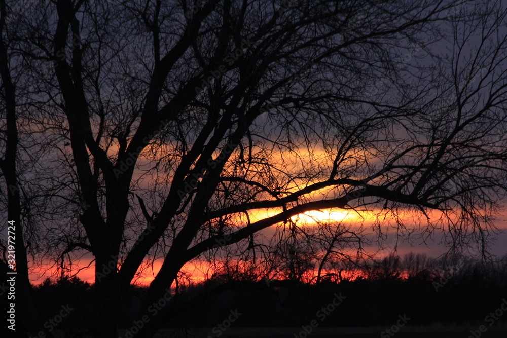 Kansas Tree Silhouette with a colorful Sunset. Kansas Tree Silhouette with a colorful Sunset.