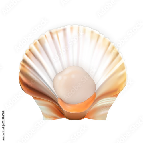 Scallop With Meat In Shell Tasty Seafood Vector. Marine Fresh Food Mollusk Scallop. Asian Delicious Shellfish For Aperitif. Restaurant Dish Concept Template Realistic 3d Illustration