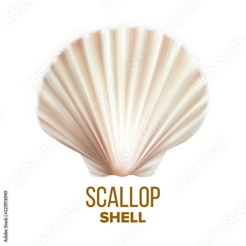 Scallop Shell Ocean Mollusk Protection Vector. Scallop Cockleshell Marine Seashore Vacation Decorative Souvenir. Restaurant Culinary Delicacy Seafood Concept Mockup Realistic 3d Illustration