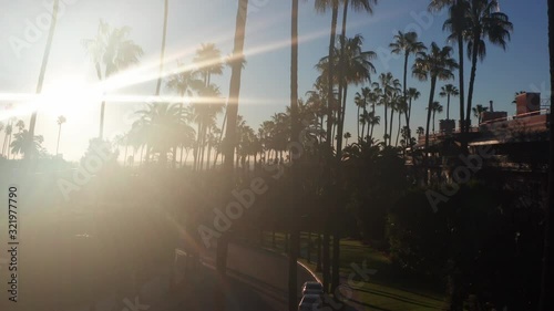 Beautiful street with palms, flowers and street lamps in Beverly Hills, California.