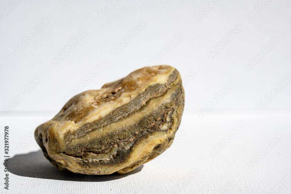Obraz premium Prairie Agate from Buffalo Gap Nation Grassland, South Dakota
