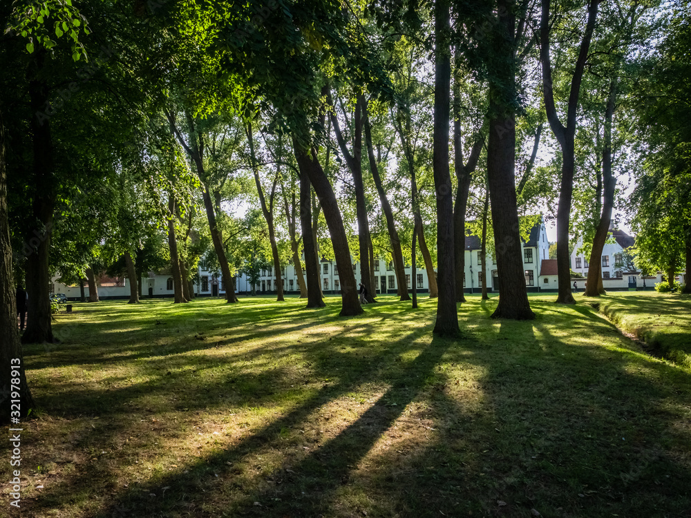 Summer shadows