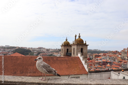 Portugal 포르투갈 Porto, Lisbon 리스본, 포르토