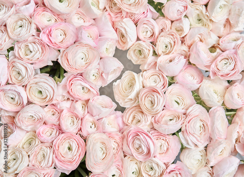 many layered petals. Persian buttercup. Bunch pale pink ranunculus flowers light background. Wallpaper