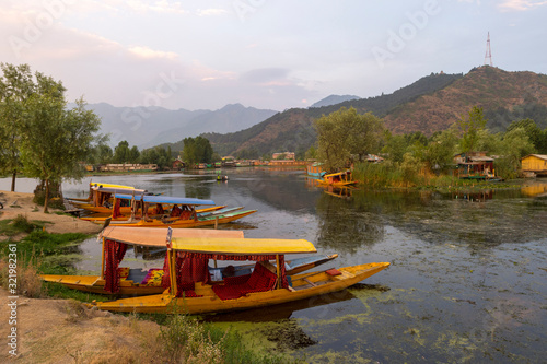 Shikaras, small wooden carved boats, Dal lake, Srinagar, Kashmir, India