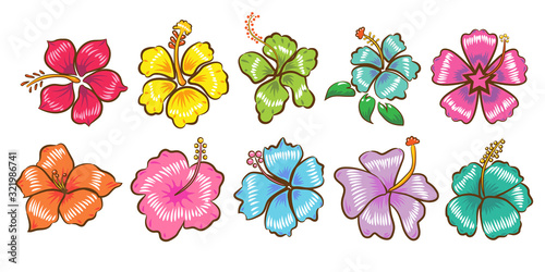 Hibiscus vector set collection graphic clipart design