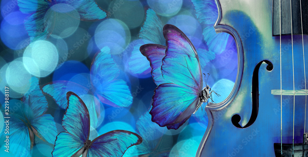 Fototapeta Niebieski motyl siedzący na skrzypcach. Skrzypce na rozmytym niebieskim tle. 