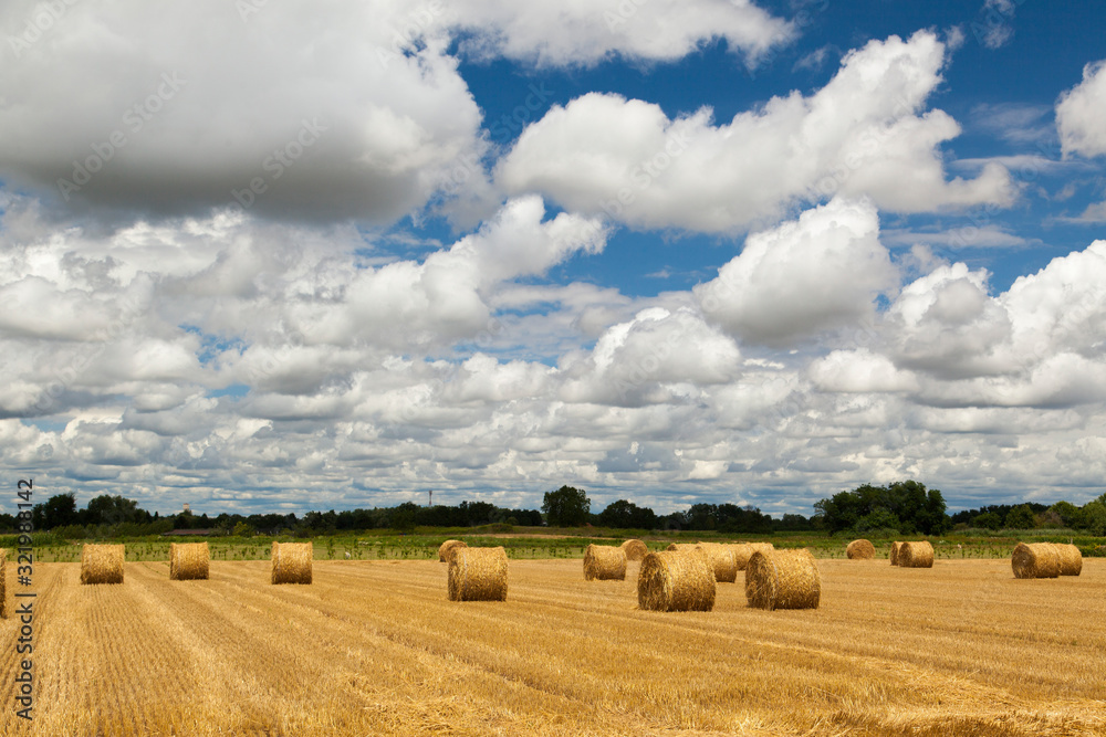 Large round bales of wheat straw on a blue sky with clouds