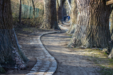 Handdoek met foto Huisarts Levenspad door rustig landschap  © peter_qn