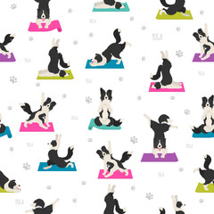 Keuken achterwand Honden patronen Border collie yoga houdingen patroon  © a7880ss