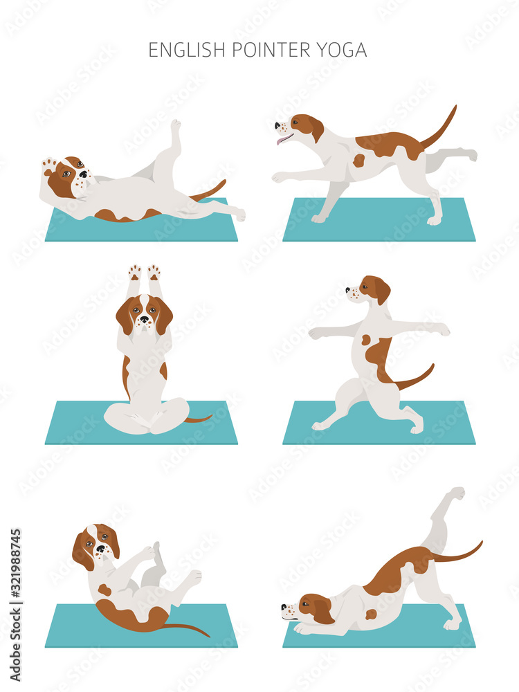 Yoga dogs poses and exercises poster design. English pointer clipart