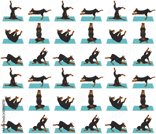 Yoga dogs poses and exercises seamless pattern design. Doberman clipart