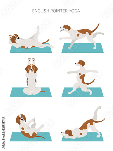 Fototapeta Naklejka Na Ścianę i Meble -  Yoga dogs poses and exercises poster design. English pointer clipart