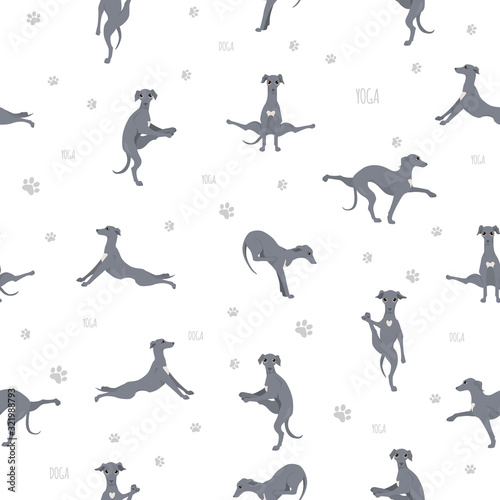 Yoga dogs poses and exercises seamless pattern design. Italian greyhound  clipart