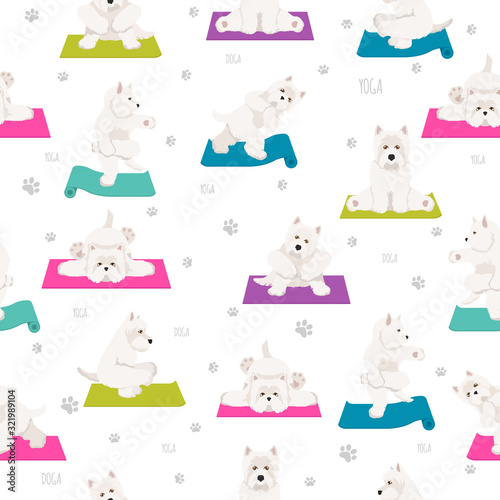 Fototapeta Naklejka Na Ścianę i Meble -  Yoga dogs poses and exercises seamless pattern design. West Highland White Terrier clipart