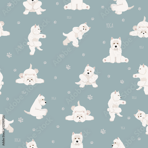 Yoga dogs poses and exercises seamless pattern design. West Highland White Terrier clipart