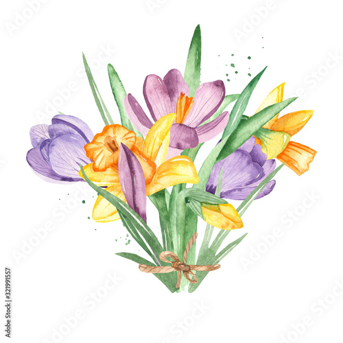 Watercolor bouquet with flowers and leaves of daffodil  crocus