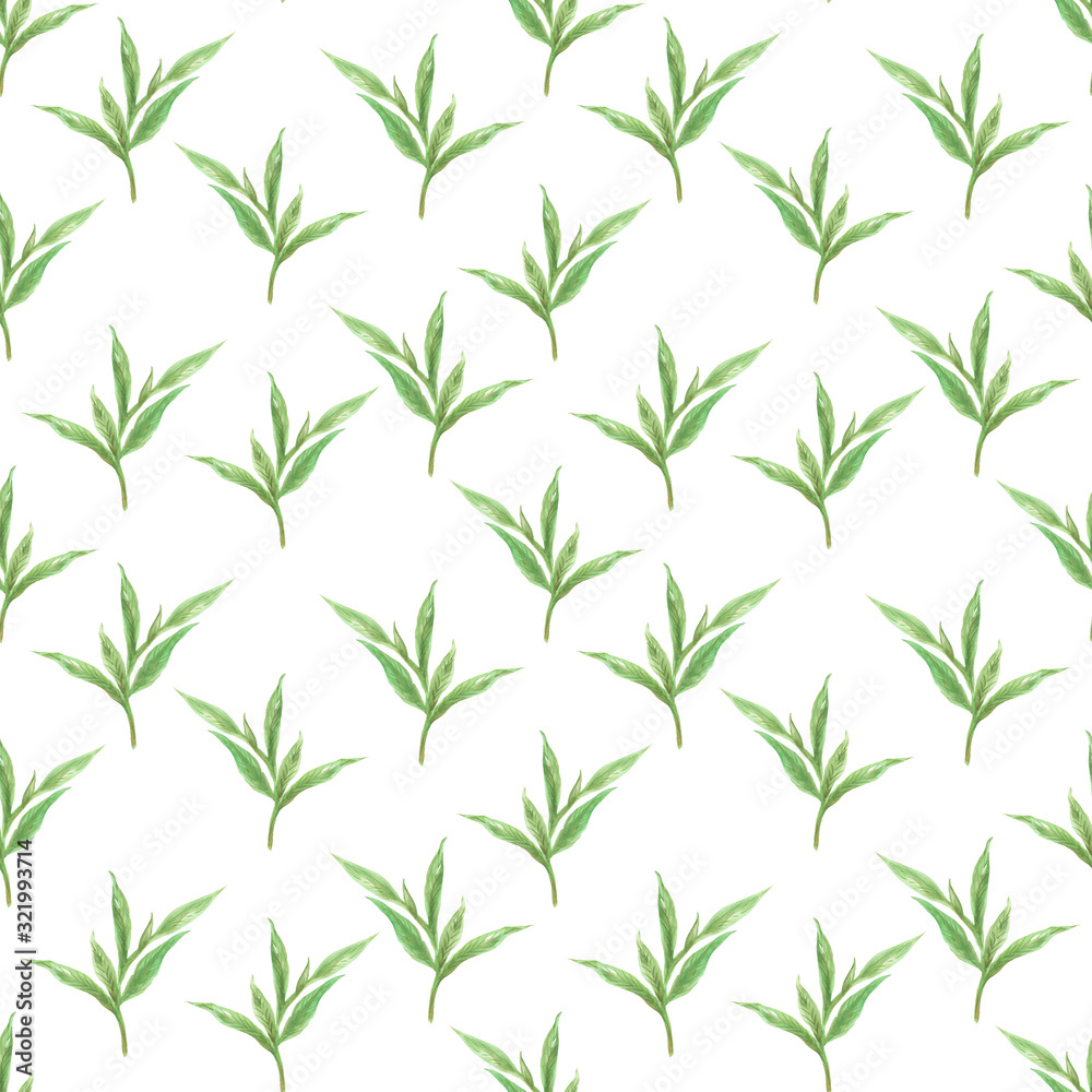 Naklejka Watercolor Botanical seamless pattern with green leaves Design for fabric, wallpaper, textile, web design Isolated