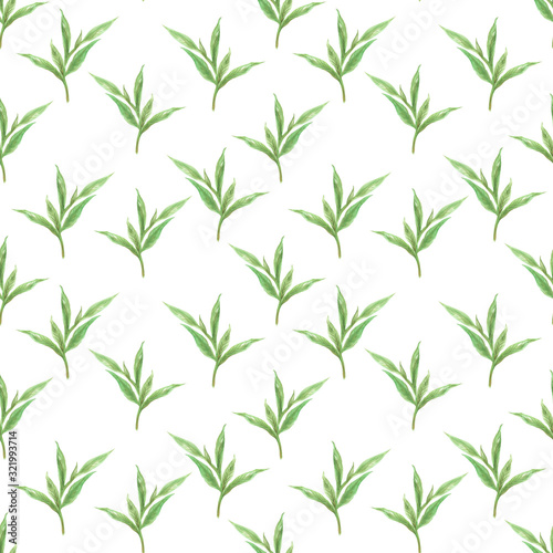 Watercolor Botanical seamless pattern with green leaves Design for fabric  wallpaper  textile  web design Isolated