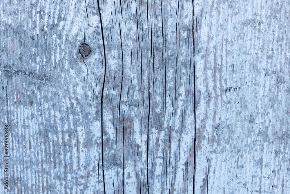 Naklejka premium Old wood texture. Dry wooden overlay texture.