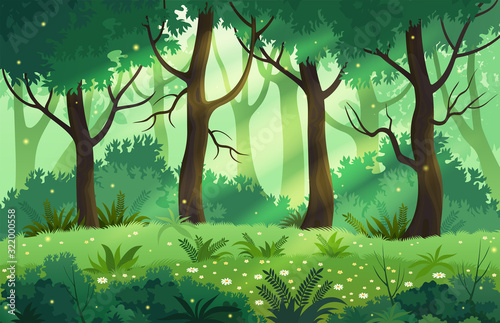 Summer fantasy forest landscape, vector illustration. © NMacTavish