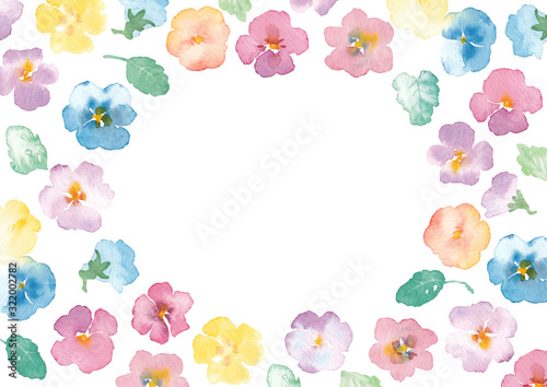 Illustration of viola flower painted by watercolor