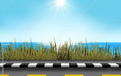 landscape of road at the beach in day time