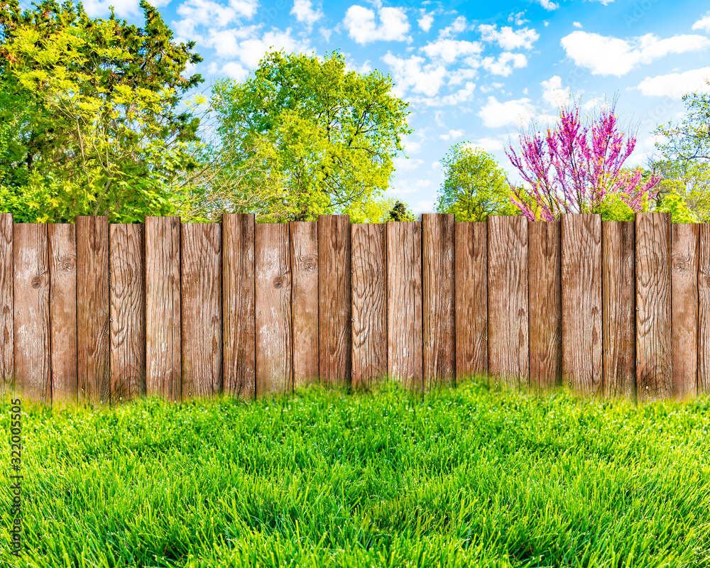 Wooden garden fence at backyard, green grass and blue sky with white clouds Wooden garden fence at backyard, green grass and blue sky with white clouds