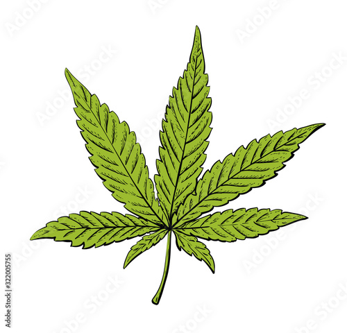 Vector illustration of cannabis leaf. Green marijuana leaf isolated. Vector eps 10.