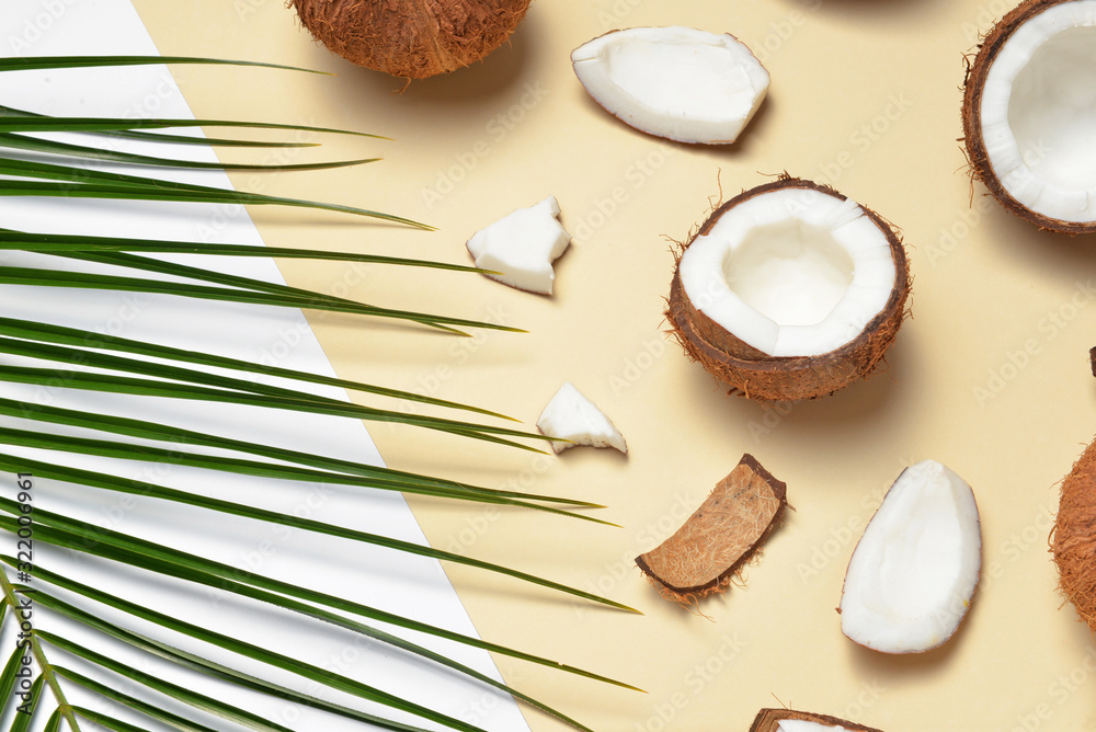 Ripe coconuts and palm leaf on color background Ripe coconuts and palm leaf on color background