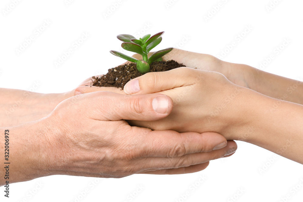 Male and female hands with plant and soil on white background. Earth day celebration Male and female hands with plant and soil on white background. Earth day celebration