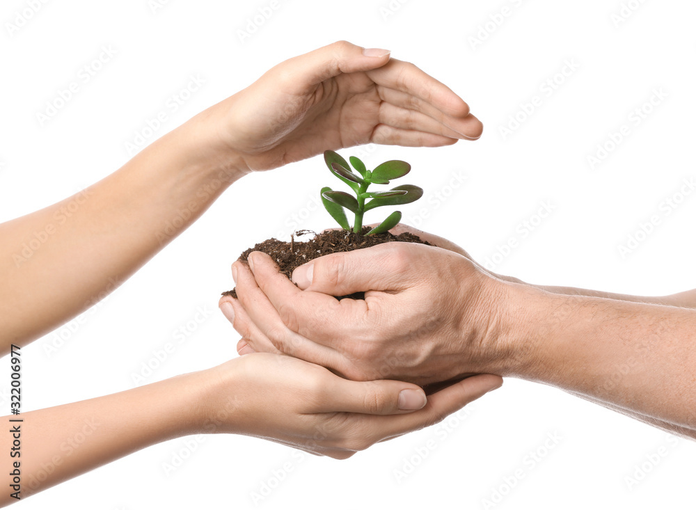 Male and female hands with plant and soil on white background. Earth day celebration Male and female hands with plant and soil on white background. Earth day celebration
