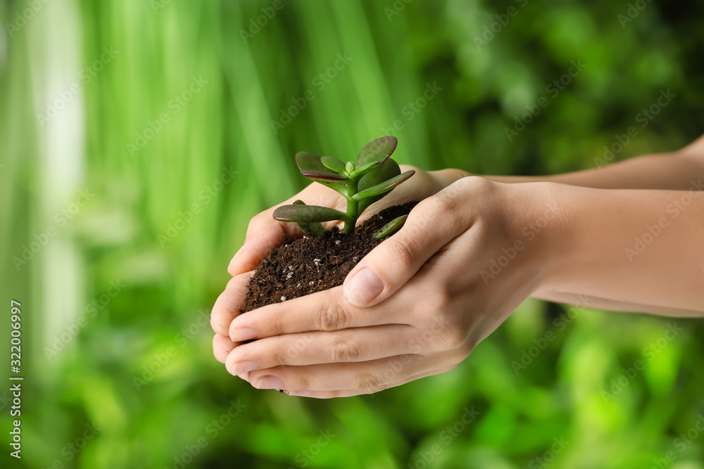 Female hands with plant on green background. Earth day celebration Female hands with plant on green background. Earth day celebration