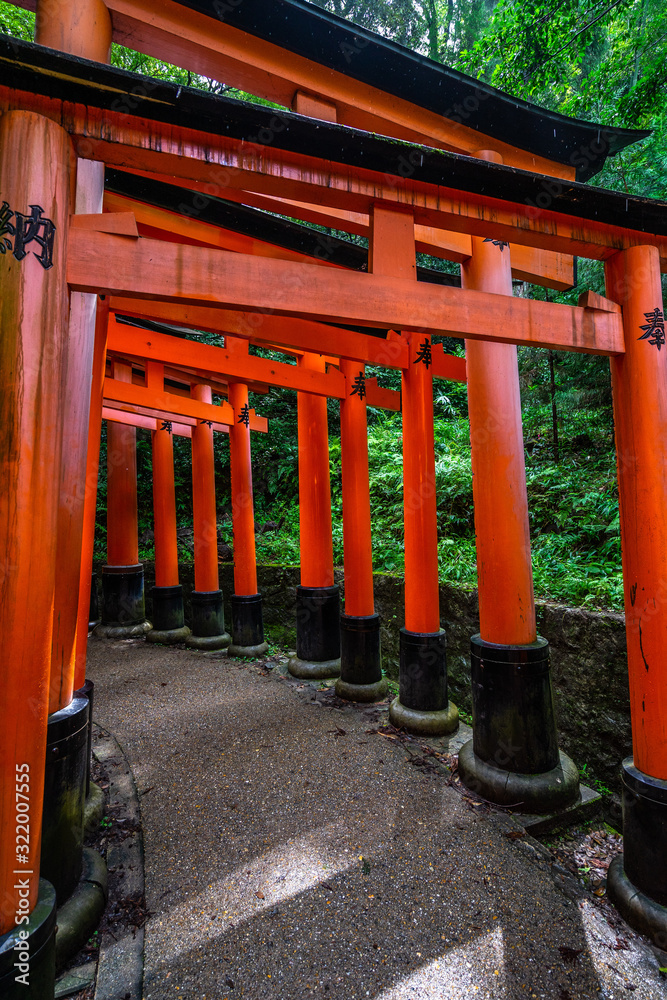 View of Senbon Torii, a scenic pathway in the forest covered by thousands of torii gates at Fushimi Inari shrine, Kyoto, Japan