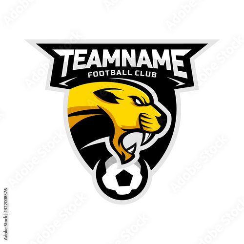 Cougars head logo for the Football team logo. vector illustration. With a combination of shields badge.