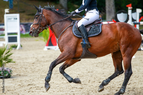 Horse brown at a tournament with rider galloping..