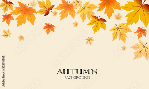Autumn maple leaves background use for decorate, website, logo etc . vector illustration