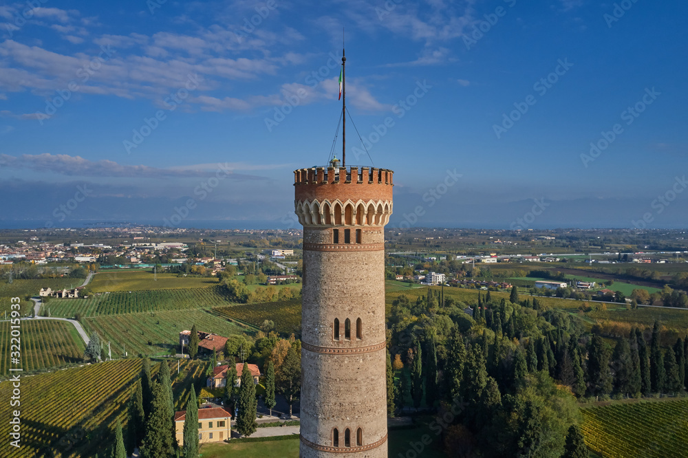 Aerial view. Tower of San Martino della Battaglia, Italy. Autumn season, tower surrounded by vineyards, blue sky