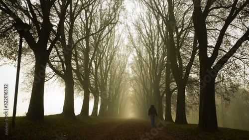 Timelapse in foggy countryroad in Ferrara, Italy