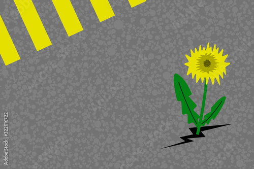 illustration of dandelion grow through asphalt. Spring coming concept. Flat style.