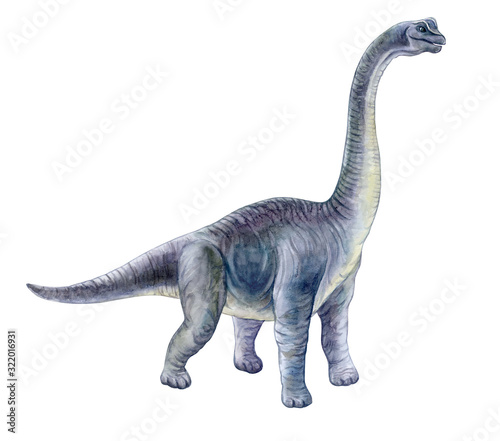 Brachiosaurus dinosaur. Hand painted dinosaurs isolated on white background. Predator animal of the prehistoric period. Illustration. Realistic watercolor. Template. Hand drawing. Clipart. Close-up